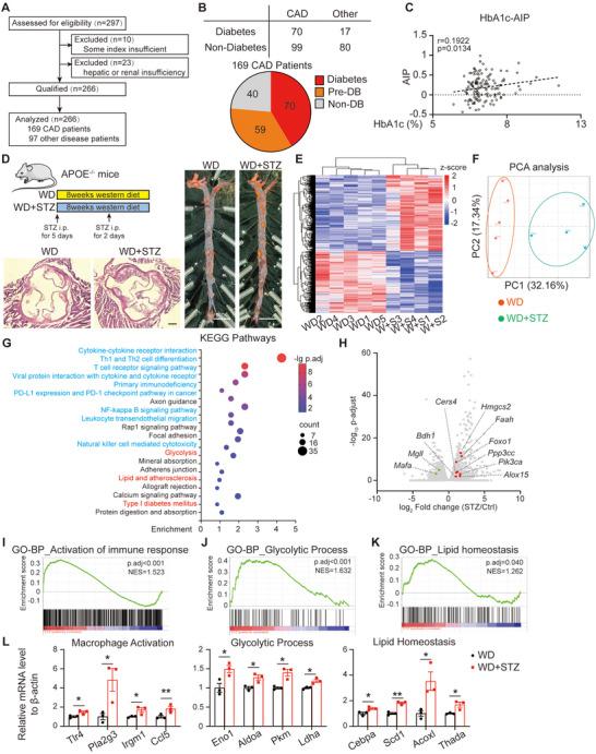 https://cdn.ncbi.nlm.nih.gov/pmc/blobs/8a52/12412570/8df37e9d0dc3/ADVS-12-e00141-g008.jpg