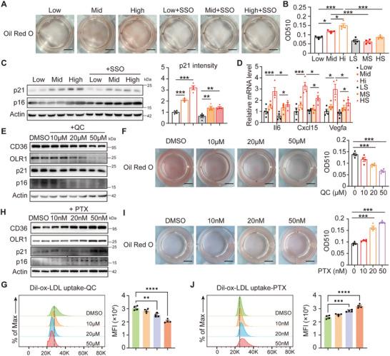 https://cdn.ncbi.nlm.nih.gov/pmc/blobs/8a52/12412570/8fb9280f0a3c/ADVS-12-e00141-g005.jpg