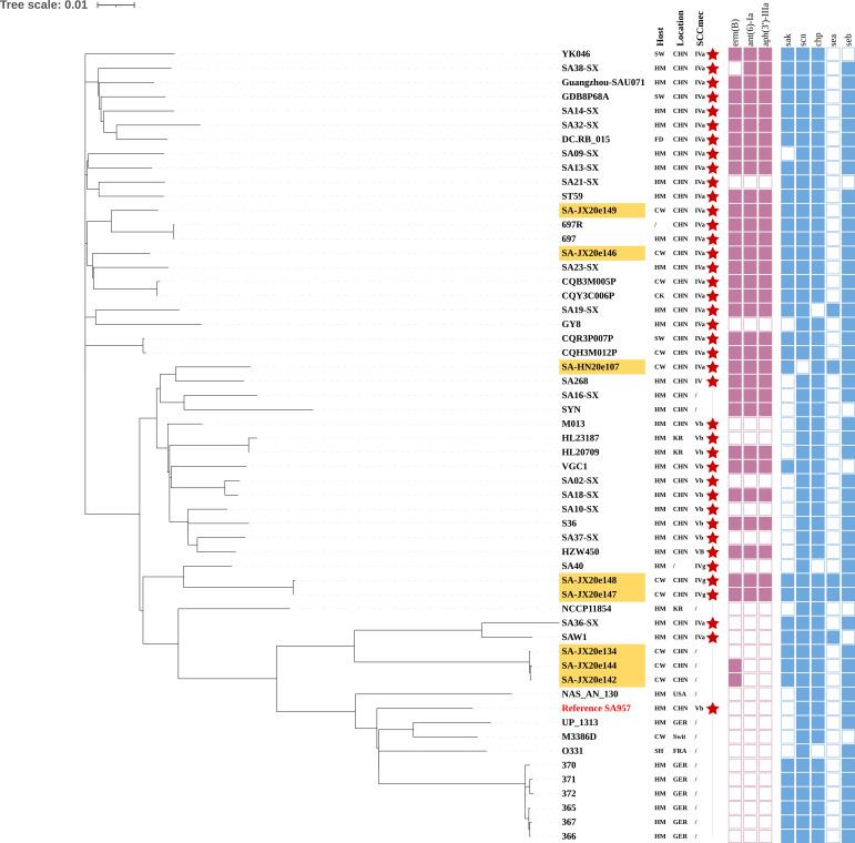 https://cdn.ncbi.nlm.nih.gov/pmc/blobs/8a56/12210863/a410c7595b63/spectrum.02800-24.f005.jpg