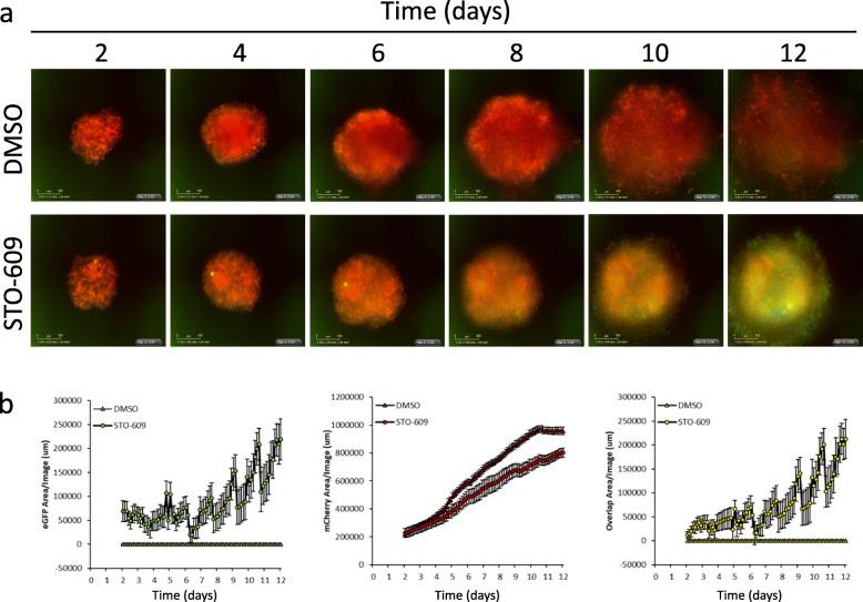 https://cdn.ncbi.nlm.nih.gov/pmc/blobs/8a58/7216359/d4adb3a62720/13048_2020_660_Fig5_HTML.jpg