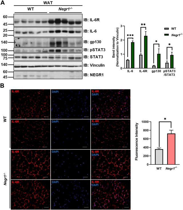 https://cdn.ncbi.nlm.nih.gov/pmc/blobs/8a59/10175572/c83c9f652847/fmolb-10-1148521-g002.jpg