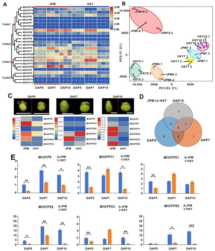 https://cdn.ncbi.nlm.nih.gov/pmc/blobs/8a59/11275924/5522f6b6e047/genes-15-00823-g006.jpg