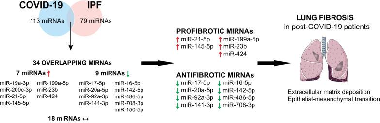 https://cdn.ncbi.nlm.nih.gov/pmc/blobs/8a5b/10105928/88b12614c6e4/12931_2023_2413_Fig2_HTML.jpg