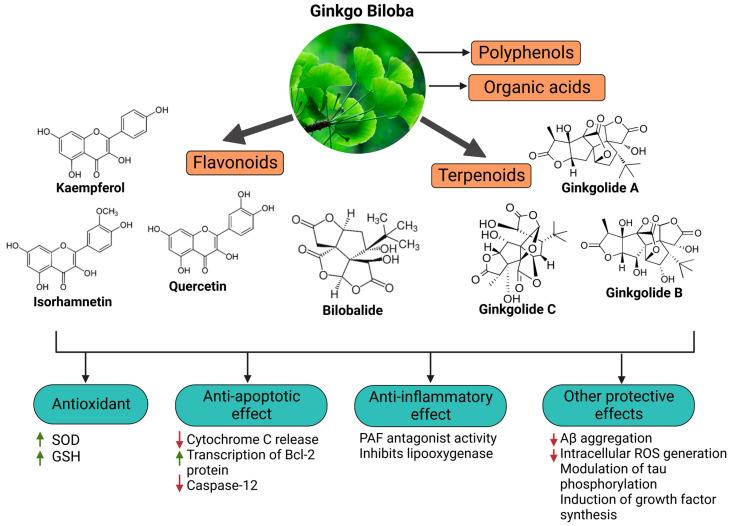 https://cdn.ncbi.nlm.nih.gov/pmc/blobs/8a5b/10224264/3d08345f838c/pharmaceutics-15-01562-g002.jpg