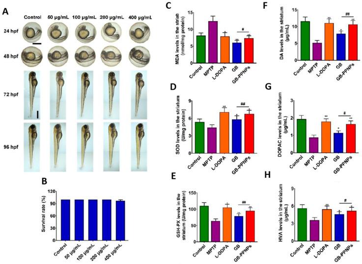 https://cdn.ncbi.nlm.nih.gov/pmc/blobs/8a5b/10224264/7b94dd9fe6bc/pharmaceutics-15-01562-g009.jpg