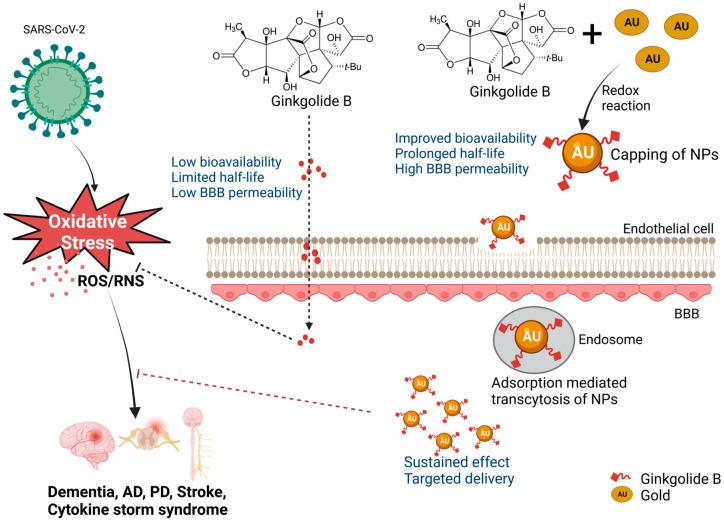https://cdn.ncbi.nlm.nih.gov/pmc/blobs/8a5b/10224264/dd21020ca0c6/pharmaceutics-15-01562-g010.jpg