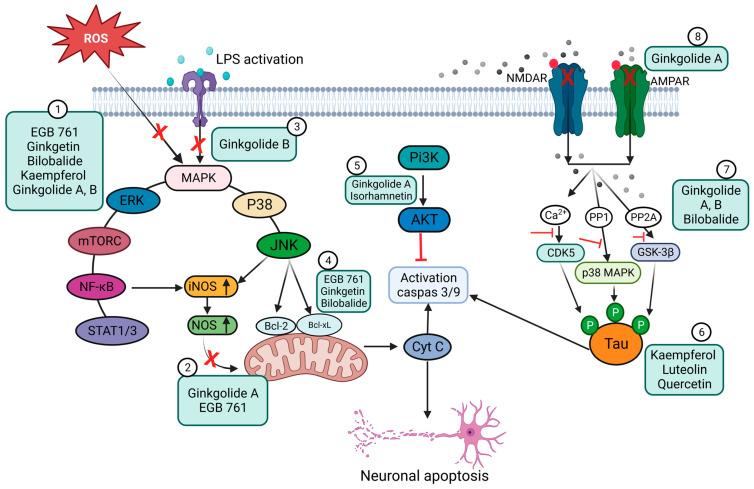 https://cdn.ncbi.nlm.nih.gov/pmc/blobs/8a5b/10224264/fd86b78bc311/pharmaceutics-15-01562-g005.jpg