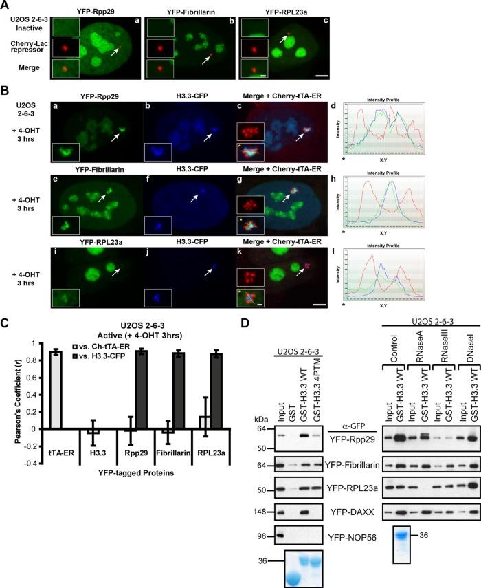 https://cdn.ncbi.nlm.nih.gov/pmc/blobs/8a5b/4814222/db78314aee8e/1154fig3.jpg