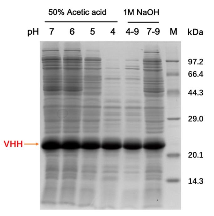 https://cdn.ncbi.nlm.nih.gov/pmc/blobs/8a5b/6600539/8968fcdcfc71/molecules-24-02119-g001.jpg