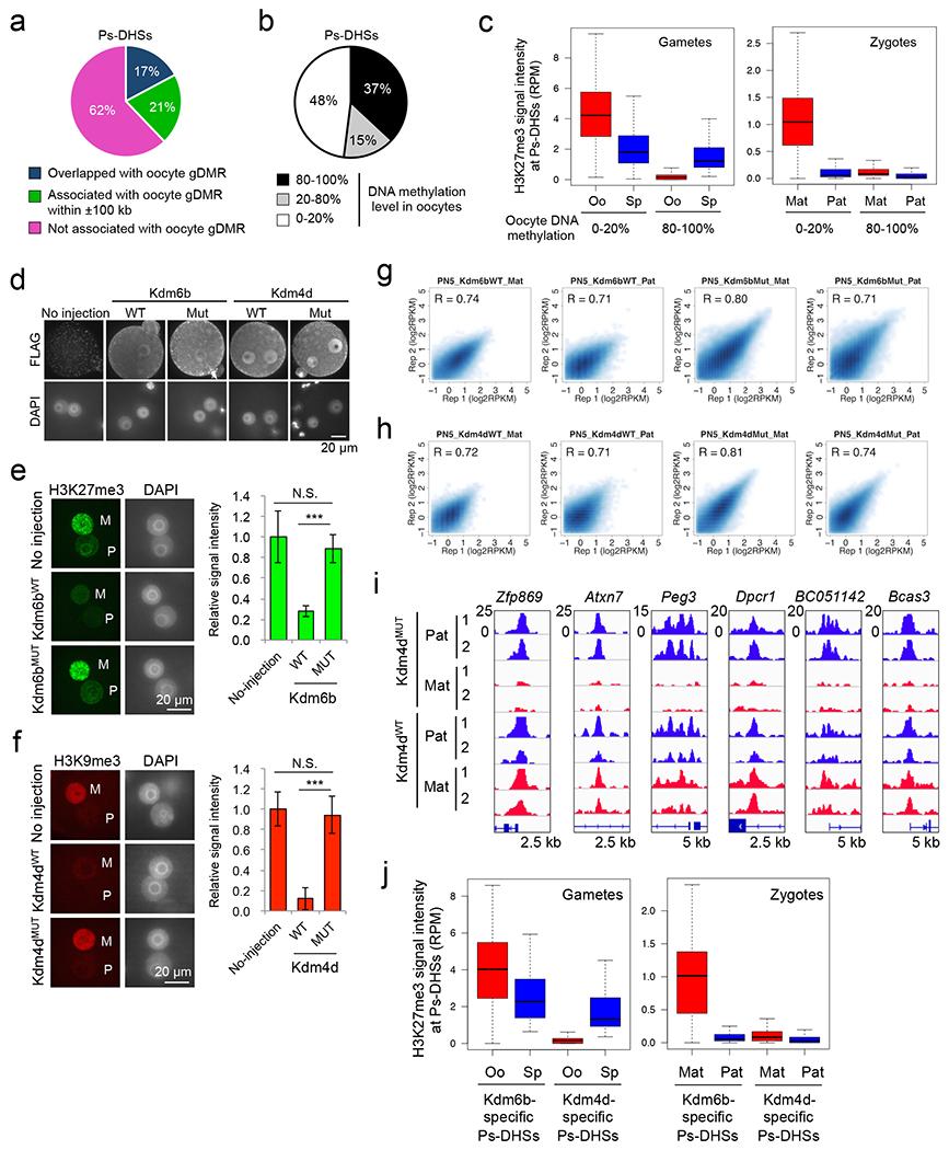 https://cdn.ncbi.nlm.nih.gov/pmc/blobs/8a5c/9674007/af45f30d4894/nihms-1847486-f0009.jpg