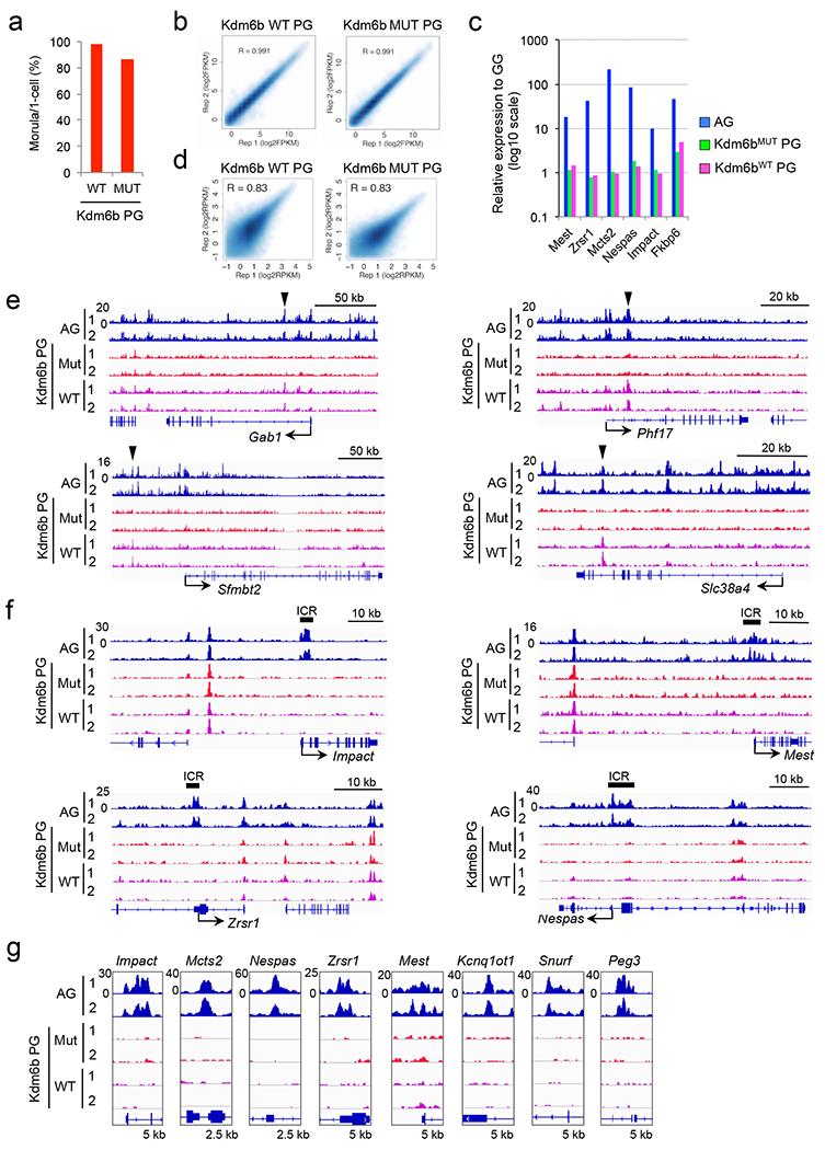 https://cdn.ncbi.nlm.nih.gov/pmc/blobs/8a5c/9674007/b88657b3b323/nihms-1847486-f0012.jpg