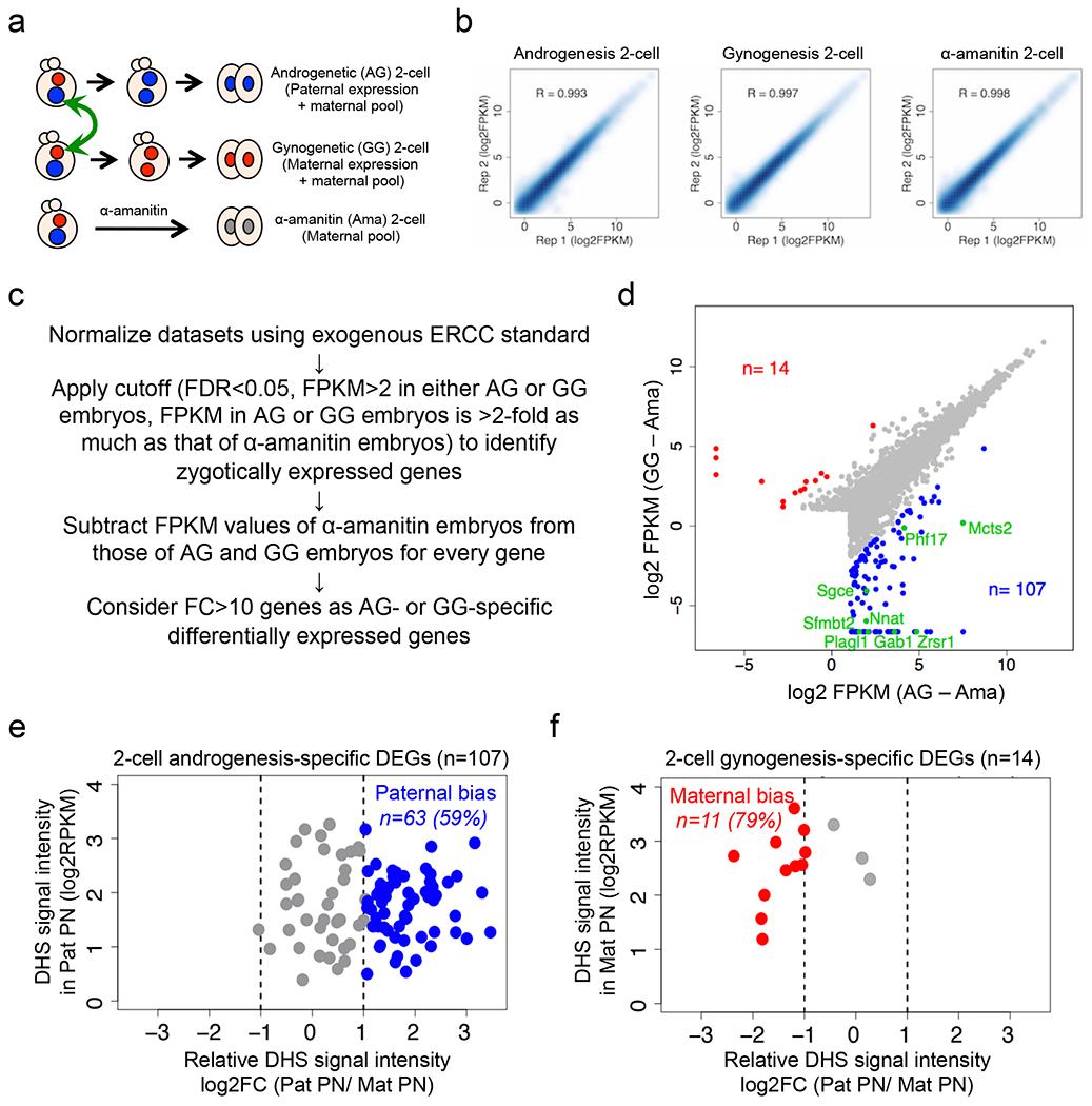 https://cdn.ncbi.nlm.nih.gov/pmc/blobs/8a5c/9674007/cba20b0593a2/nihms-1847486-f0007.jpg