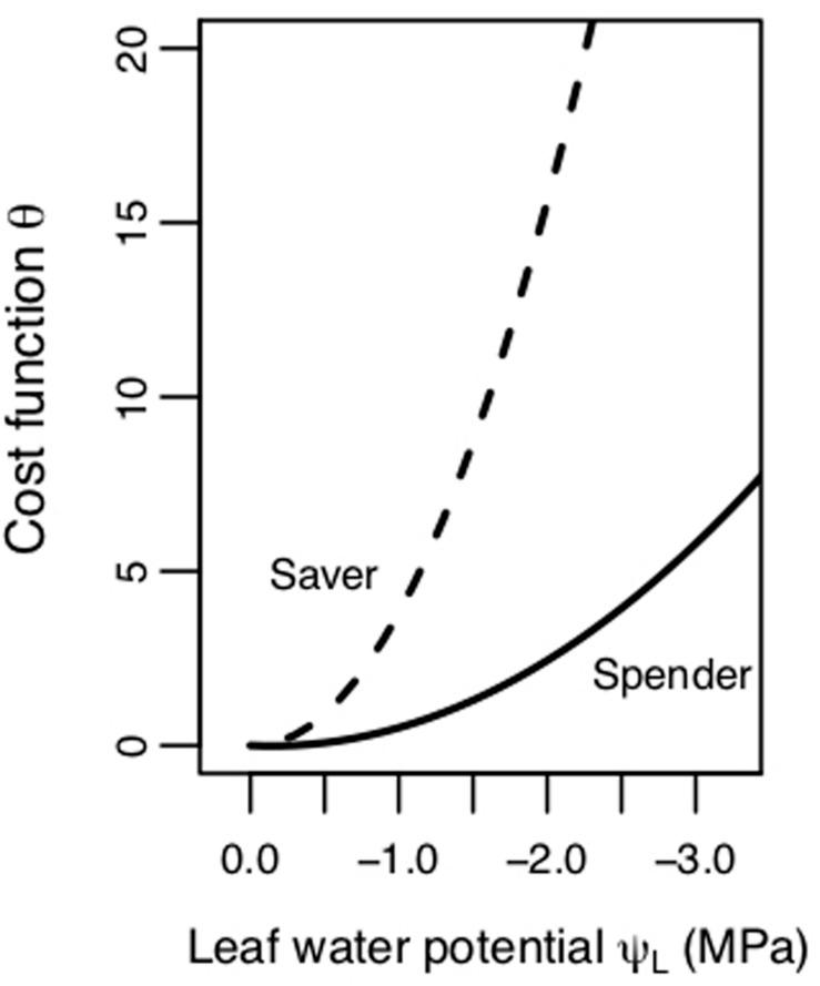 https://cdn.ncbi.nlm.nih.gov/pmc/blobs/8a5e/7227391/26b6c2360bbc/fpls-11-00478-g001.jpg