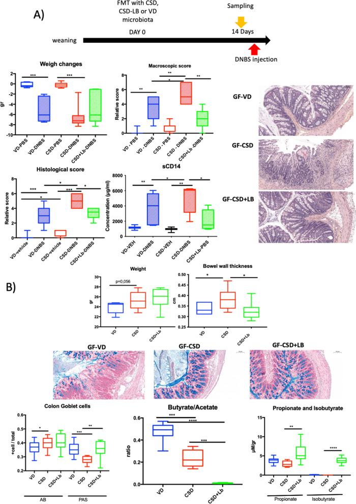 https://cdn.ncbi.nlm.nih.gov/pmc/blobs/8a5f/10316582/157065af65cb/40168_2023_1584_Fig9_HTML.jpg