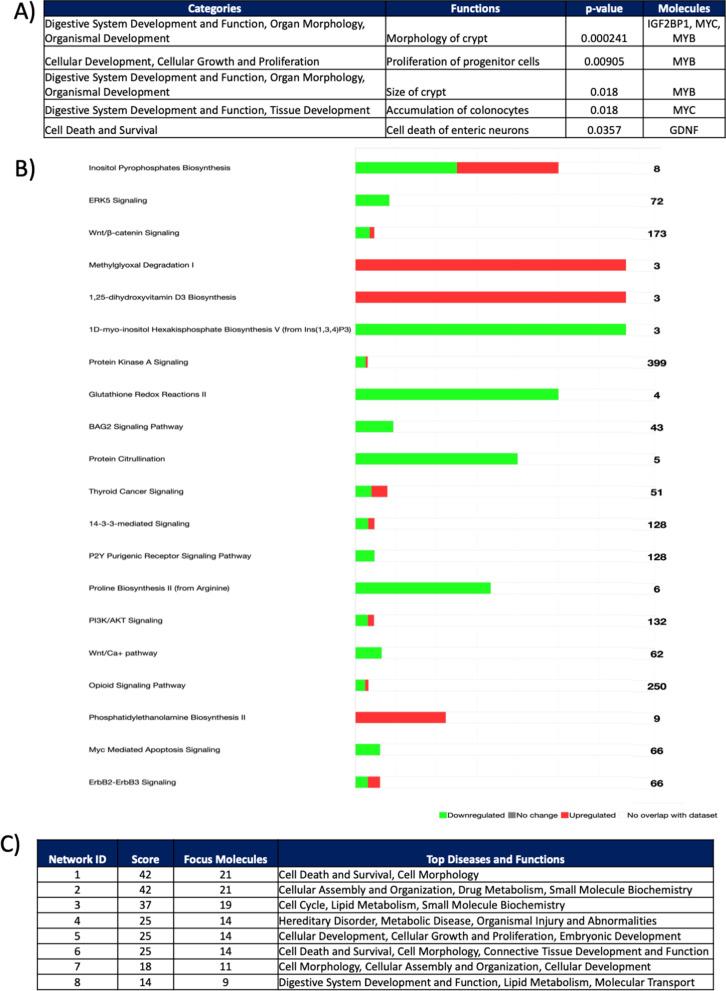 https://cdn.ncbi.nlm.nih.gov/pmc/blobs/8a5f/10316582/5116900714b5/40168_2023_1584_Fig6_HTML.jpg