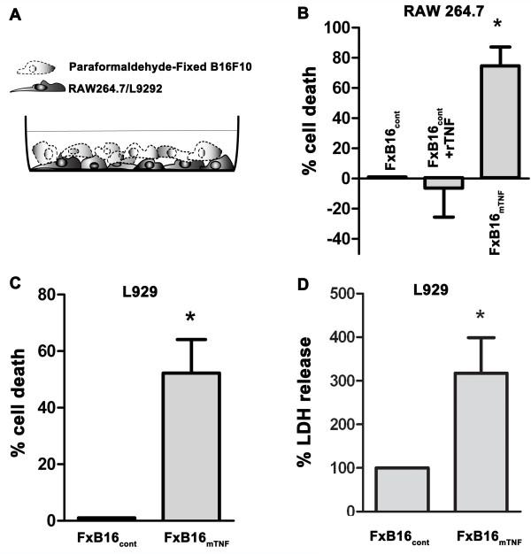 https://cdn.ncbi.nlm.nih.gov/pmc/blobs/8a5f/3895838/08f67a5a1db6/1750-2187-8-12-1.jpg