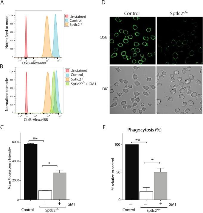 https://cdn.ncbi.nlm.nih.gov/pmc/blobs/8a5f/4592247/3730b5f66852/ppat.1005188.g009.jpg