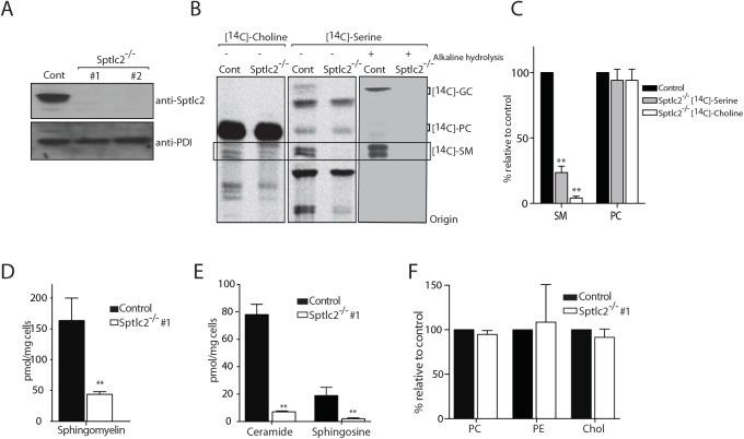 https://cdn.ncbi.nlm.nih.gov/pmc/blobs/8a5f/4592247/63d5f631086f/ppat.1005188.g003.jpg