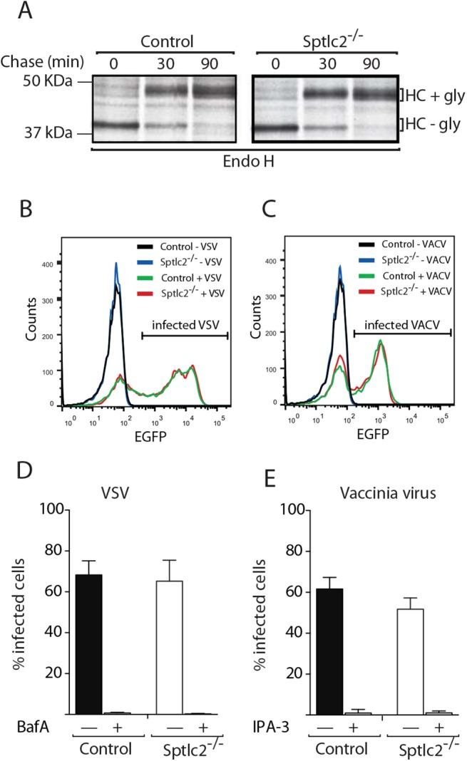https://cdn.ncbi.nlm.nih.gov/pmc/blobs/8a5f/4592247/714ff733bf19/ppat.1005188.g008.jpg