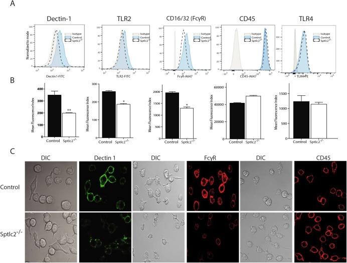 https://cdn.ncbi.nlm.nih.gov/pmc/blobs/8a5f/4592247/edc9cb5f5075/ppat.1005188.g007.jpg