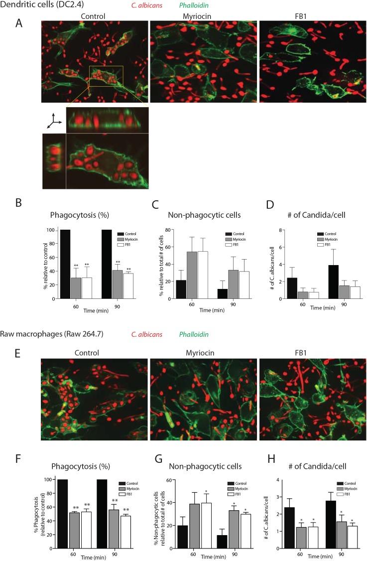 https://cdn.ncbi.nlm.nih.gov/pmc/blobs/8a5f/4592247/fbc614c48b52/ppat.1005188.g002.jpg