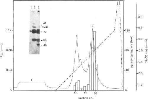 https://cdn.ncbi.nlm.nih.gov/pmc/blobs/8a60/1151186/11f7805b596c/biochemj00156-0034-a.jpg