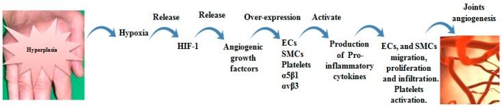 https://cdn.ncbi.nlm.nih.gov/pmc/blobs/8a60/6515208/e325eb093f43/molecules-24-01537-g003.jpg