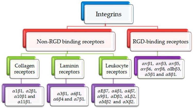 https://cdn.ncbi.nlm.nih.gov/pmc/blobs/8a60/6515208/ed2705932dbd/molecules-24-01537-g001.jpg