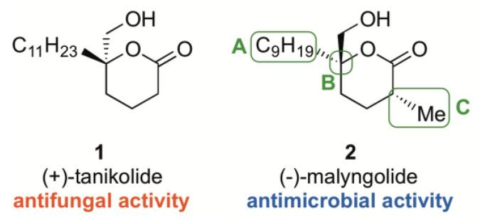 https://cdn.ncbi.nlm.nih.gov/pmc/blobs/8a61/8232695/10d62adb6b0f/ijms-22-06400-g001.jpg