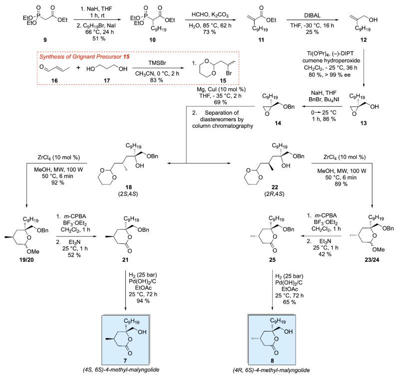 https://cdn.ncbi.nlm.nih.gov/pmc/blobs/8a61/8232695/a12809134006/ijms-22-06400-g003.jpg