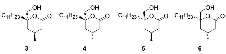 https://cdn.ncbi.nlm.nih.gov/pmc/blobs/8a61/8232695/c1cf96642e7d/ijms-22-06400-g002.jpg