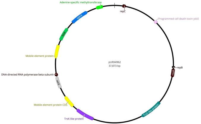 https://cdn.ncbi.nlm.nih.gov/pmc/blobs/8a62/11178607/bf9d9b4ca75f/284_2024_3737_Fig2_HTML.jpg