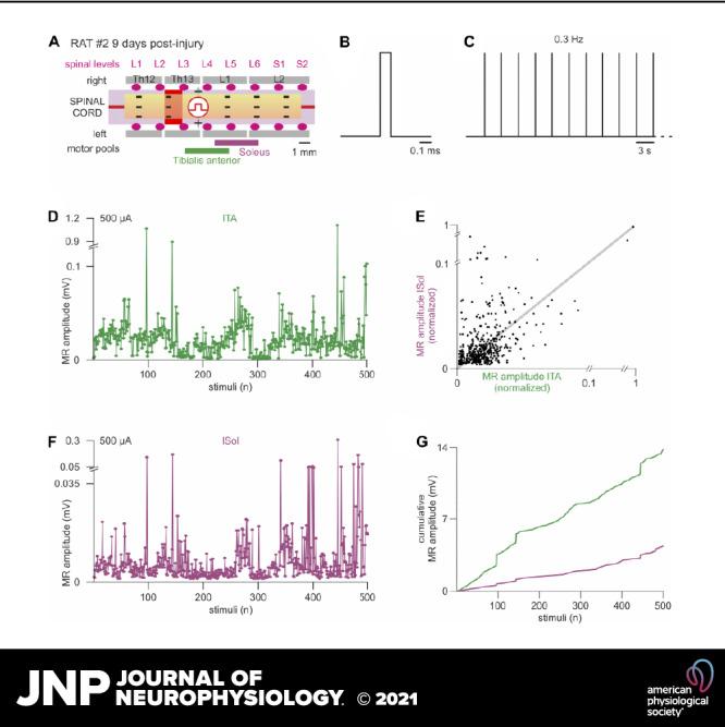 https://cdn.ncbi.nlm.nih.gov/pmc/blobs/8a63/8782665/07338948d278/jn-00278-2021r01.jpg
