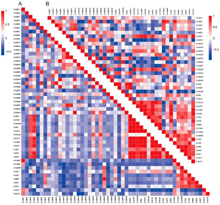 https://cdn.ncbi.nlm.nih.gov/pmc/blobs/8a64/11431567/49b92f71e075/genes-15-01140-g006.jpg