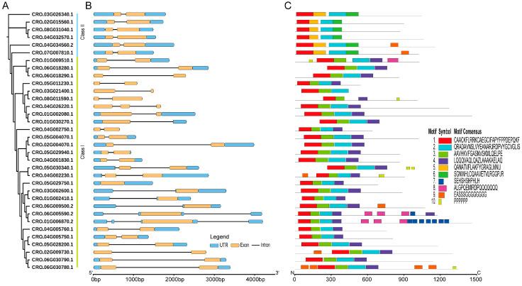https://cdn.ncbi.nlm.nih.gov/pmc/blobs/8a64/11431567/a00294813b77/genes-15-01140-g002.jpg