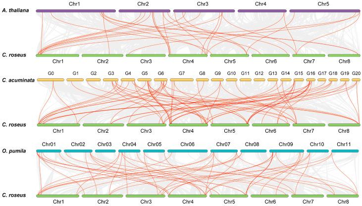 https://cdn.ncbi.nlm.nih.gov/pmc/blobs/8a64/11431567/dd7879608cbd/genes-15-01140-g004.jpg