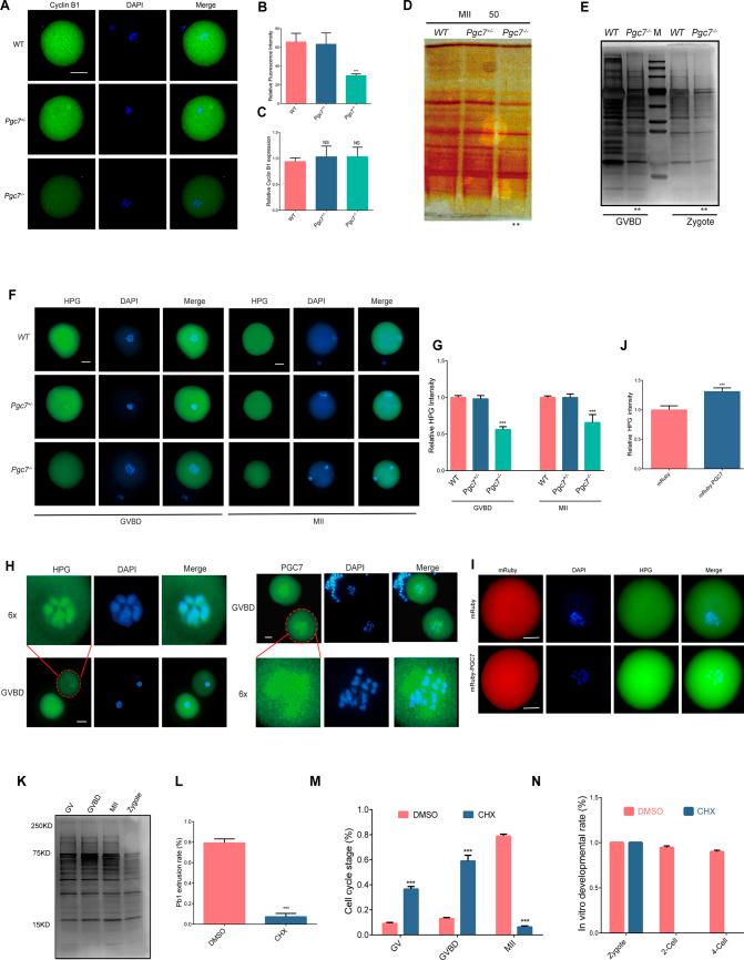 https://cdn.ncbi.nlm.nih.gov/pmc/blobs/8a64/11658377/2673ab3f015d/12964_2024_1976_Fig2_HTML.jpg