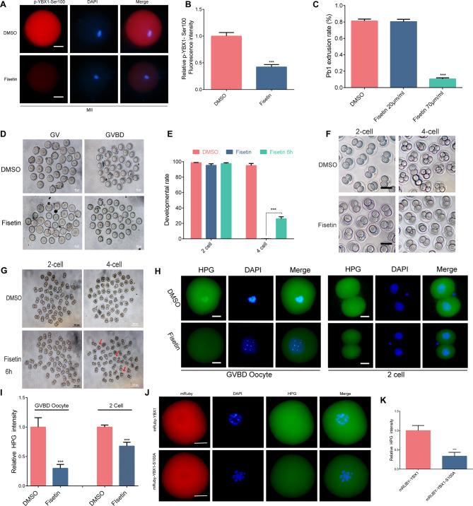 https://cdn.ncbi.nlm.nih.gov/pmc/blobs/8a64/11658377/a93949953d0a/12964_2024_1976_Fig7_HTML.jpg