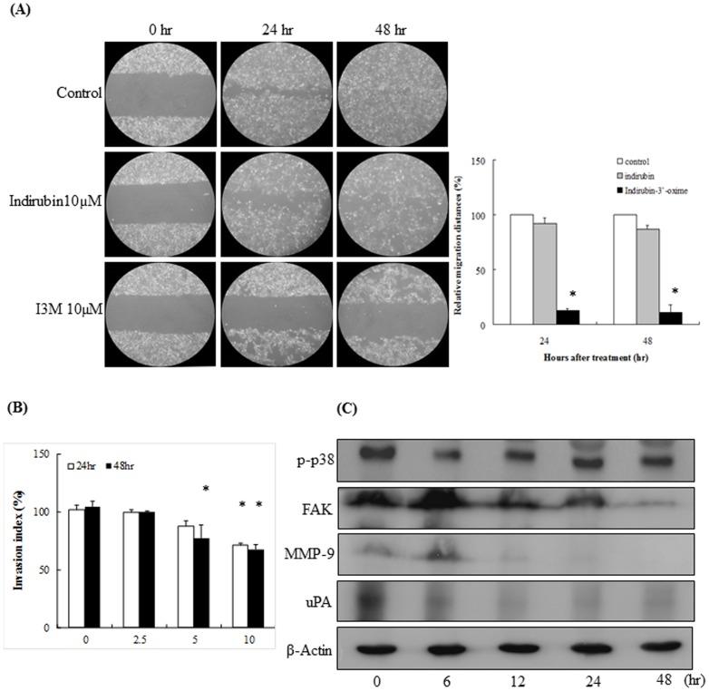 https://cdn.ncbi.nlm.nih.gov/pmc/blobs/8a67/3742732/f6a060d27d68/pone.0070198.g003.jpg