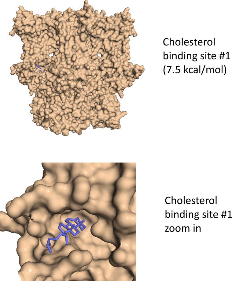https://cdn.ncbi.nlm.nih.gov/pmc/blobs/8a68/11040500/1ea30312731f/JGP_202313505_FigS5.jpg
