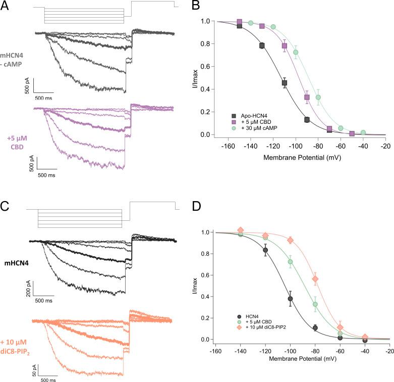 https://cdn.ncbi.nlm.nih.gov/pmc/blobs/8a68/11040500/3f070a73c8e2/JGP_202313505_Fig3.jpg