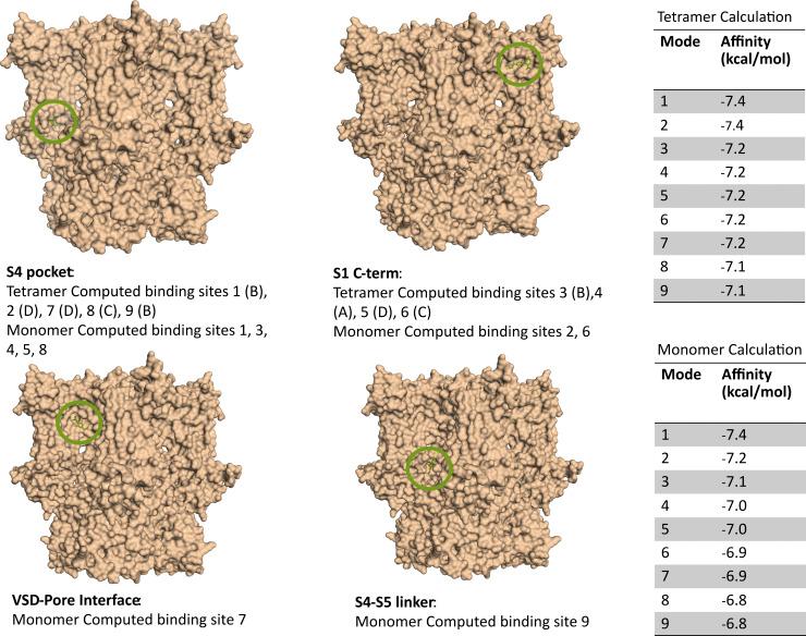 https://cdn.ncbi.nlm.nih.gov/pmc/blobs/8a68/11040500/43e584008425/JGP_202313505_FigS3.jpg
