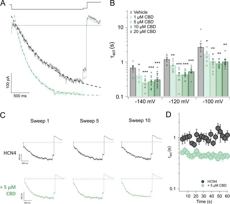 https://cdn.ncbi.nlm.nih.gov/pmc/blobs/8a68/11040500/8e759cccba13/JGP_202313505_Fig2.jpg