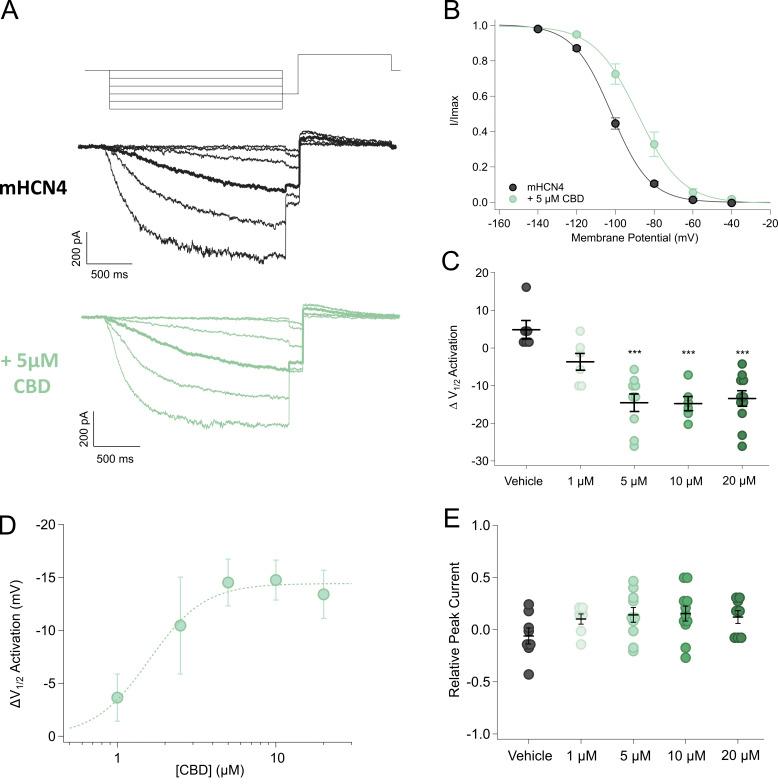 https://cdn.ncbi.nlm.nih.gov/pmc/blobs/8a68/11040500/bc2d50cec204/JGP_202313505_Fig1.jpg