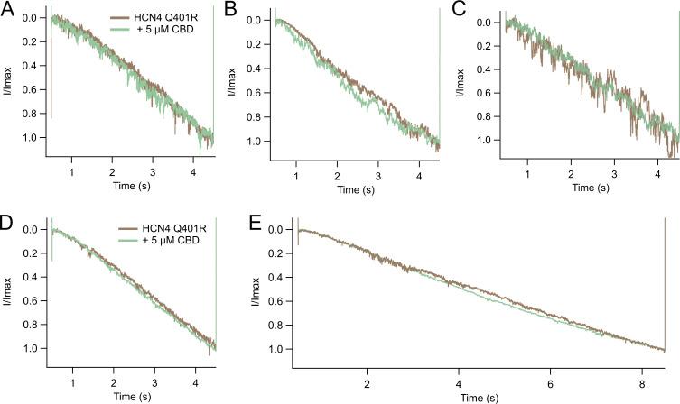 https://cdn.ncbi.nlm.nih.gov/pmc/blobs/8a68/11040500/d9e3c8ec22dd/JGP_202313505_FigS4.jpg