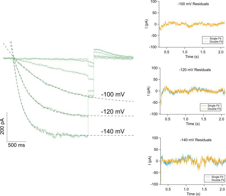 https://cdn.ncbi.nlm.nih.gov/pmc/blobs/8a68/11040500/ffef52603764/JGP_202313505_FigS2.jpg