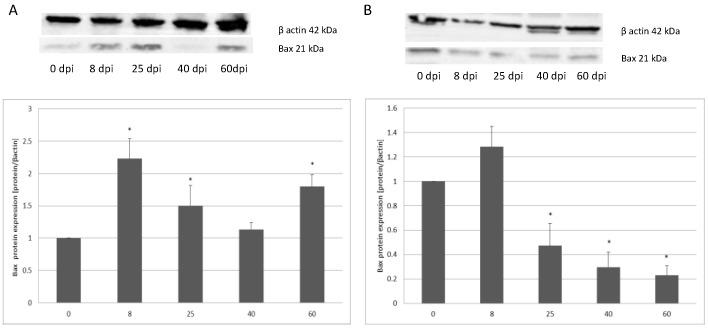 https://cdn.ncbi.nlm.nih.gov/pmc/blobs/8a6b/9368115/28f77dd6d580/ijerph-19-09753-g003.jpg