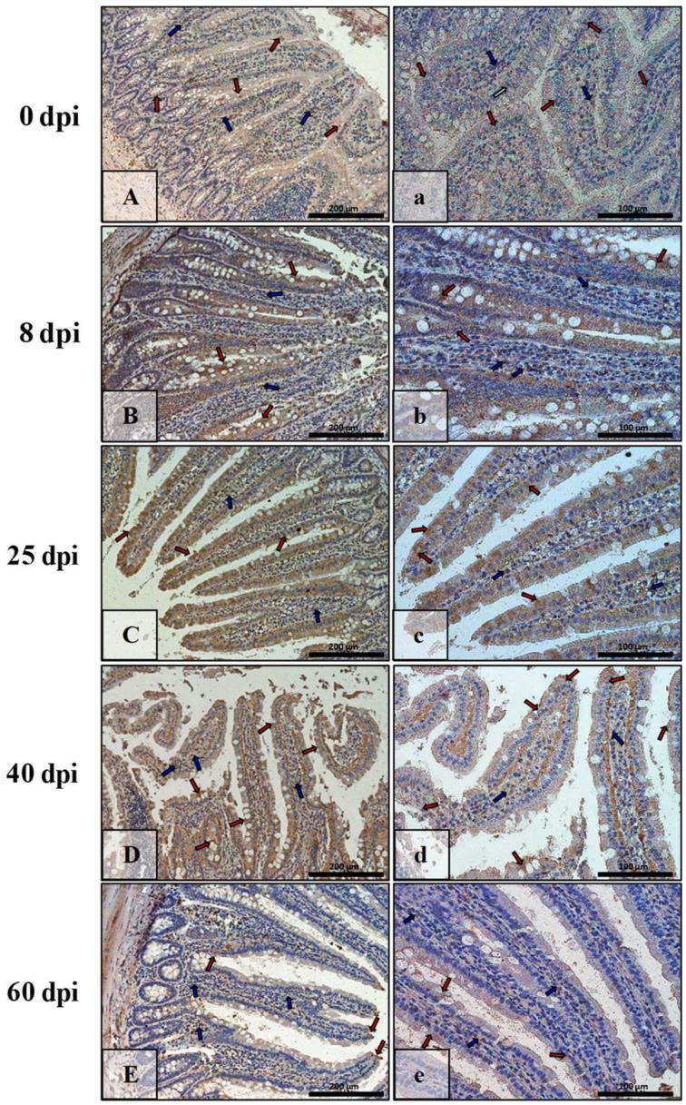 https://cdn.ncbi.nlm.nih.gov/pmc/blobs/8a6b/9368115/354d075acc43/ijerph-19-09753-g013.jpg