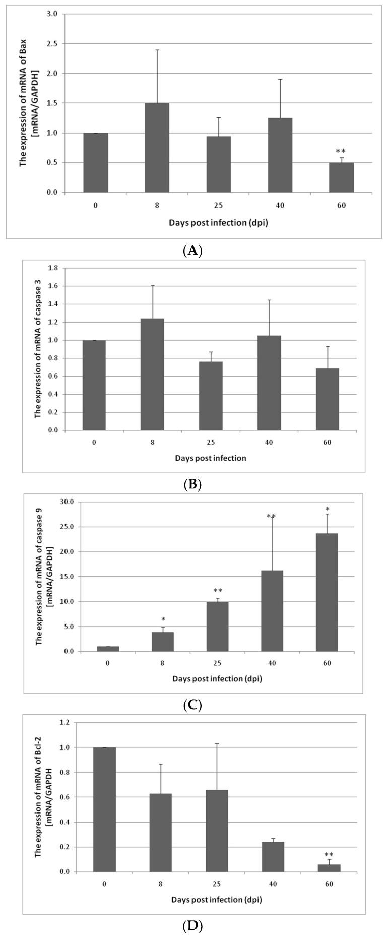 https://cdn.ncbi.nlm.nih.gov/pmc/blobs/8a6b/9368115/51d093b29ba8/ijerph-19-09753-g002.jpg