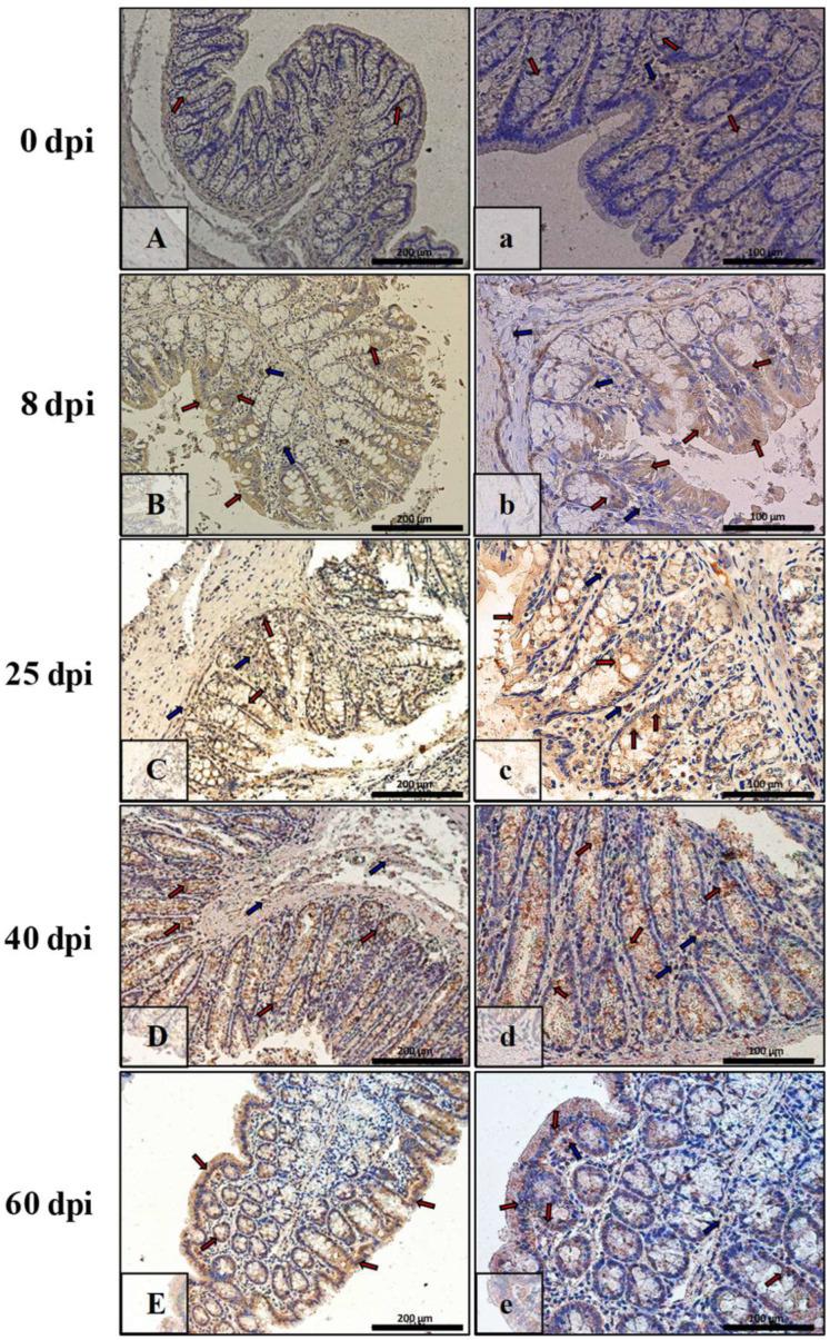 https://cdn.ncbi.nlm.nih.gov/pmc/blobs/8a6b/9368115/766ede718cae/ijerph-19-09753-g014.jpg
